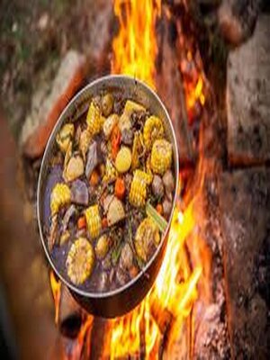 cover image of Ultimate Camping and Outdoor Cooking